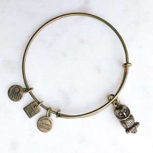Alex and Ani Ode to the Owl Charm Bracelet | Gold